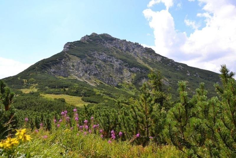 Penzion Kamzik a Drevenica Habovka Esterno foto
